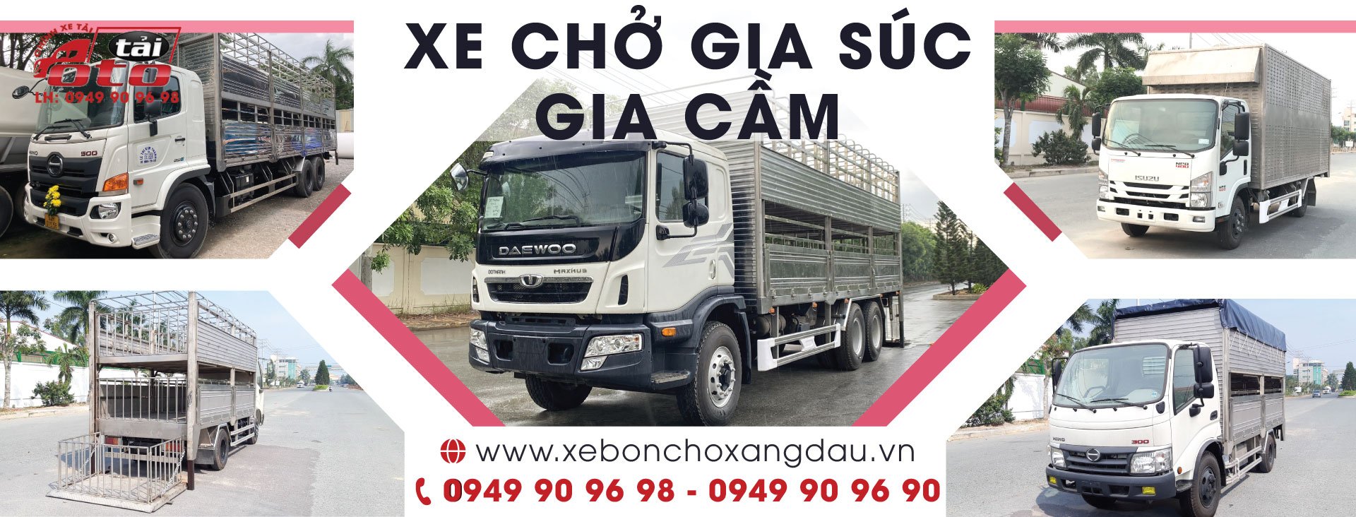 Xe chở heo I Xe chở gia súc (Lh: 0949 90 96 98 ) Xe chuyên dùng An Khang